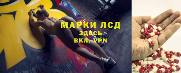 прущая мука Вяземский