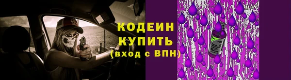 прущая мука Вяземский