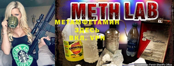 прущая мука Вяземский