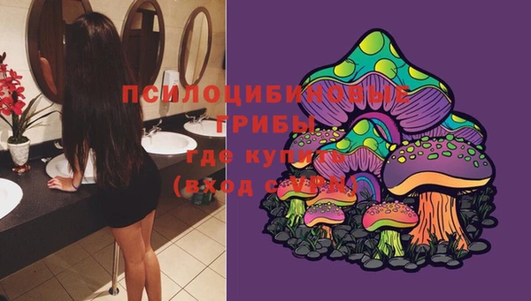прущая мука Вяземский