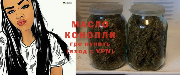 прущая мука Вяземский