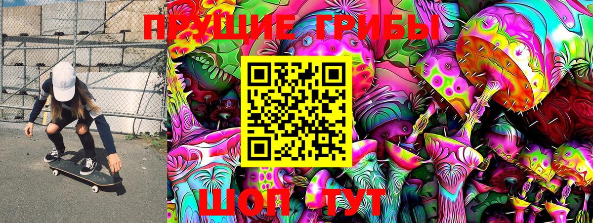 Галлюциногенные грибы Magic Shrooms  где купить   Можга  Галлюциногенные грибы мицелий 