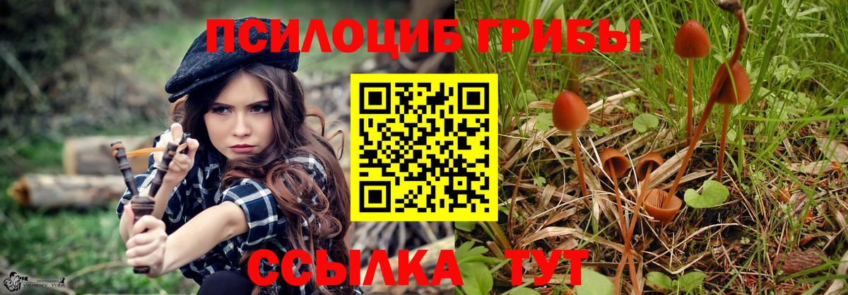 Псилоцибиновые грибы ЛСД Можга